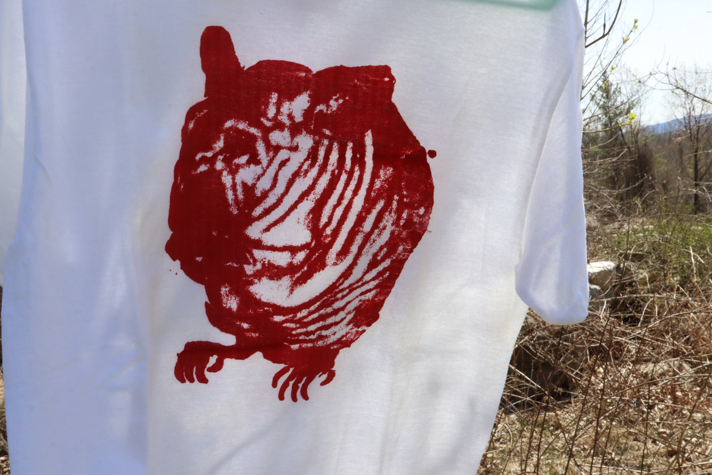 Franscis Balken- T-shirts